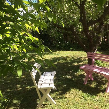 Kookaburra Cottage Castlemaine Extérieur photo